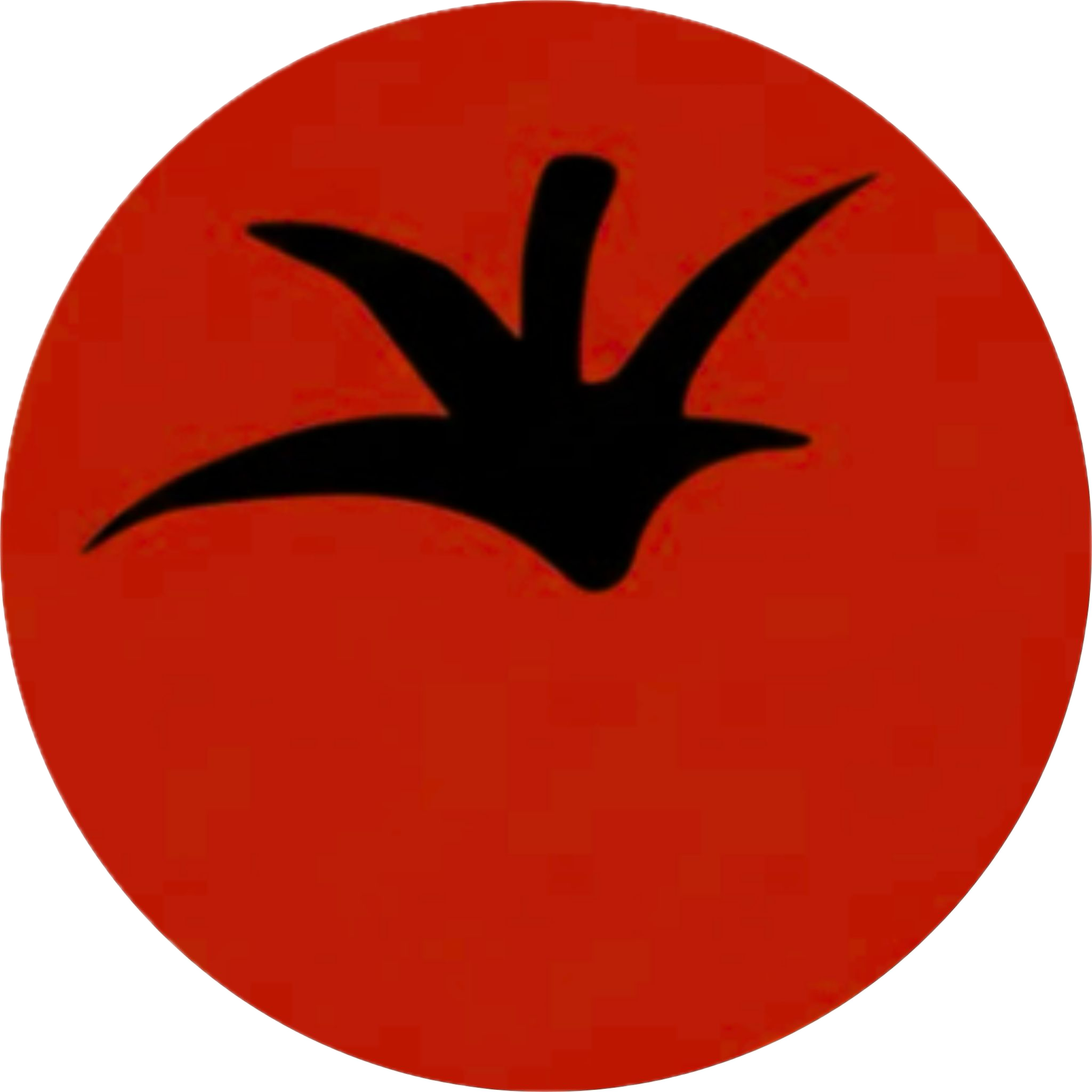 thetomatoapp.com favicon